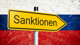 Embargo econ&oacute;mico: &iexcl;sanciones m&aacute;s duras contra Rusia!