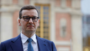 La Pologne, la R&eacute;publique tch&egrave;que et la Slov&eacute;nie &agrave; Kiev - Les chefs de gouvernement se rendent &agrave; Selenskyj