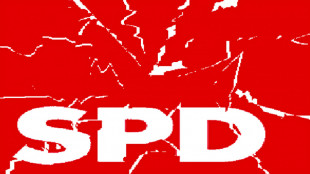 Jens Pl&ouml;tner, Andreas Michaelis, Olaf Scholz, Gerhard Schr&ouml;der et Frank-Walter Steinmeier - les lobbyistes du SPD de Poutine, en Allemagne?