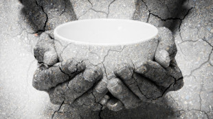 Anyone who negotiates sanctions with Putin is a traitor