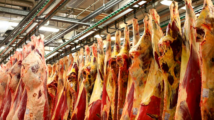 Fleischproduktion in Deutschland: Rekordwert in 2016
