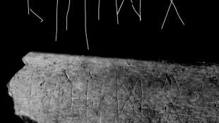 Alter Rinderknochen offenbart Neuigkeiten &uuml;ber die Runen-Schrift