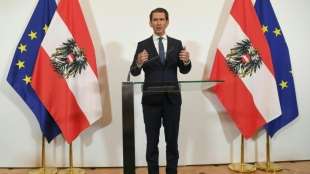 Österreichs Kanzler kündigt wegen Skandals um Strache vorgezogene Neuwahlen an
