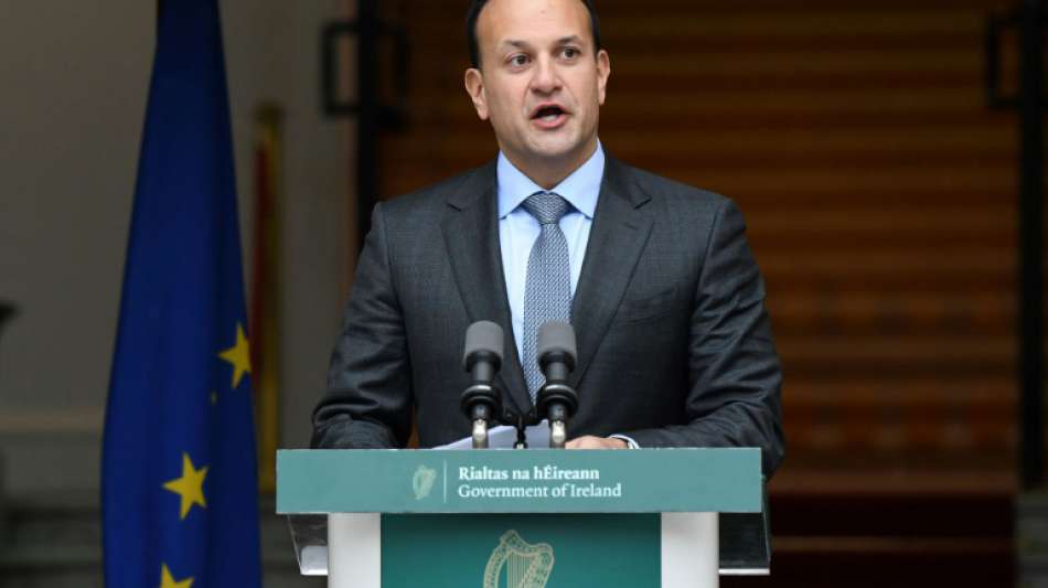 Vorgezogene Neuwahl in Irland am 8. Februar