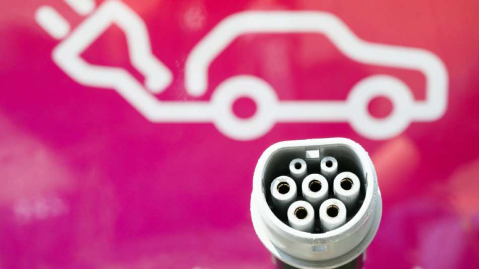 BASF setzt wegen E-Auto-Booms auf massives Batterie-Recycling