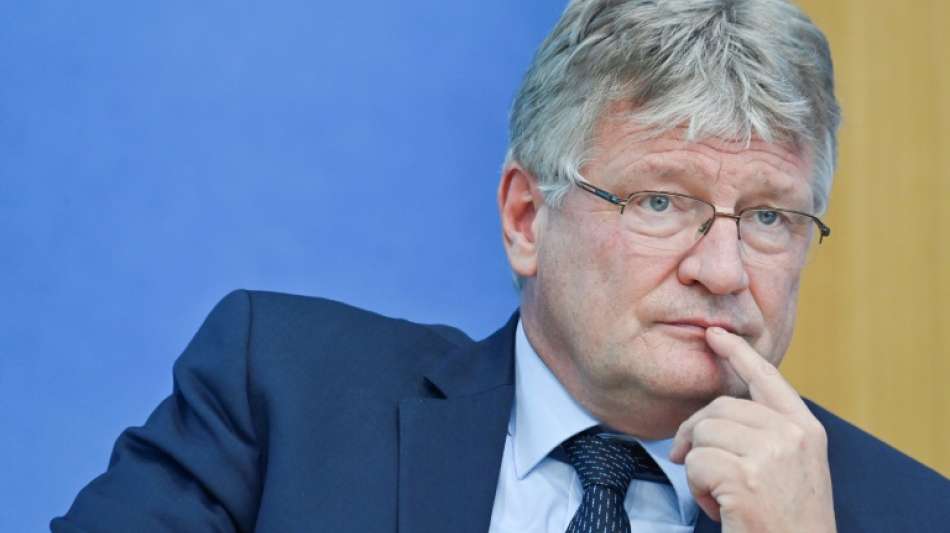 AfD-Chef Meuthen f&uuml;r Austausch der gesamten Parteispitze