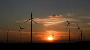 Bayerns Wirtschaftsminister f&uuml;r Ausnahmen bei Abstandsregeln f&uuml;r Windr&auml;der