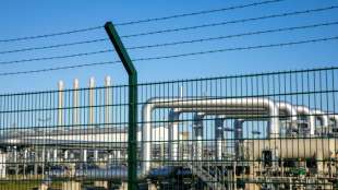 Gr&uuml;nen-Chefin Baerbock fordert Stopp von Nord Stream 2 wegen Krise mit Belarus