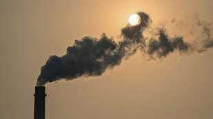 Bundesregierung kritisiert Chinas Klimaschutzzusagen als "entt&auml;uschend"