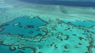 Forscher stellen Ma&szlig;nahmen zur Verz&ouml;gerung der Sch&auml;den am Great Barrier Reef vor 
