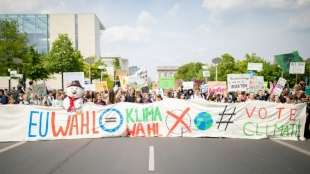 Umweltschützer fordern nach Europawahl mehr Tempo beim Klimaschutz