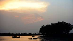 K&uuml;sten&ouml;kosysteme ersparen Klimafolgenkosten in Milliardenh&ouml;he