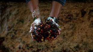 Bundestag beschließt umstrittenes Lieferkettengesetz