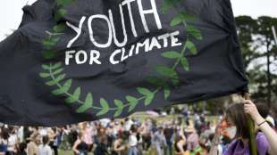 Kritik an Absage von Klima-Referendum in Frankreich