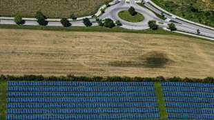 Studie: "Ampel"-Energiepl&auml;ne erfordern Verzehnfachung von Gaskraftwerks-Bau