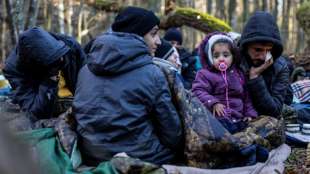 Polens Polizei nimmt mehr als 50 Migranten nahe der Grenze zu Belarus fest
