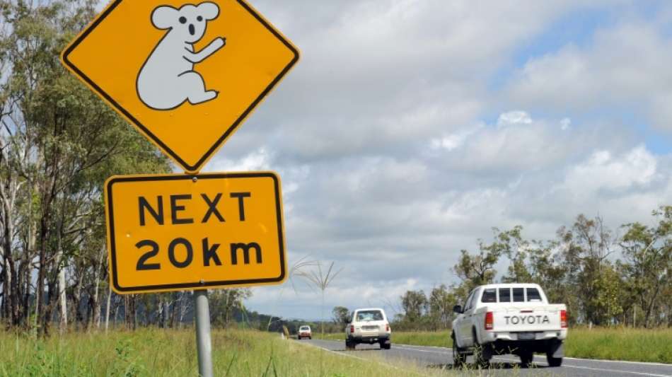 Vier Kinder fahren mit Auto tausend Kilometer durch Australiens Outback