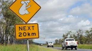 Vier Kinder fahren mit Auto 1000 Kilometer durch Australien
