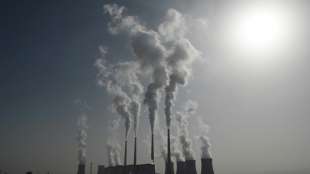Studie: Chinas CO2-Emissionen sinken erstmals seit Pandemiebeginn