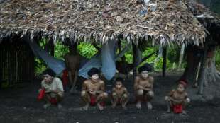 Brasiliens Polizei soll Yanomami vor illegalem Bergbau sch&uuml;tzen