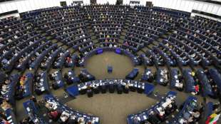 EU-Parlament debattiert zu Lage der Rechtsstaatlichkeit in Malta
