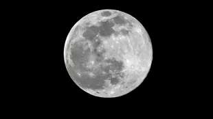 Blue Origin will Nasa-Auftrag f&uuml;r Mondf&auml;hre an SpaceX nicht hinnehmen