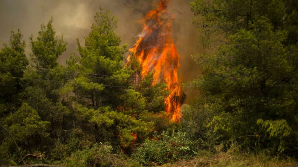 Waldbr&auml;nde in Griechenland weitgehend unter Kontrolle - Aber keine Entwarnung