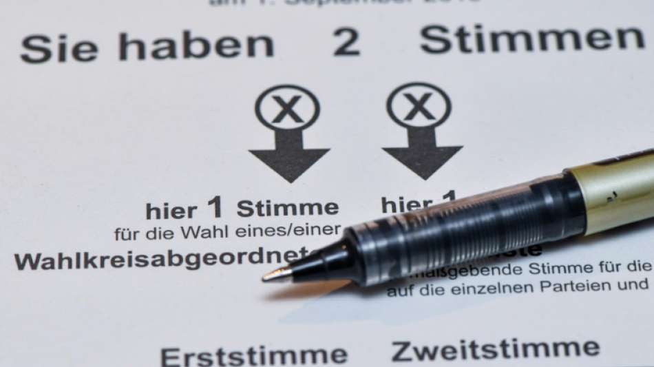 Umfrage: Weiterhin Kopf-an-Kopf-Rennen zwischen SPD und AfD in Brandenburg
