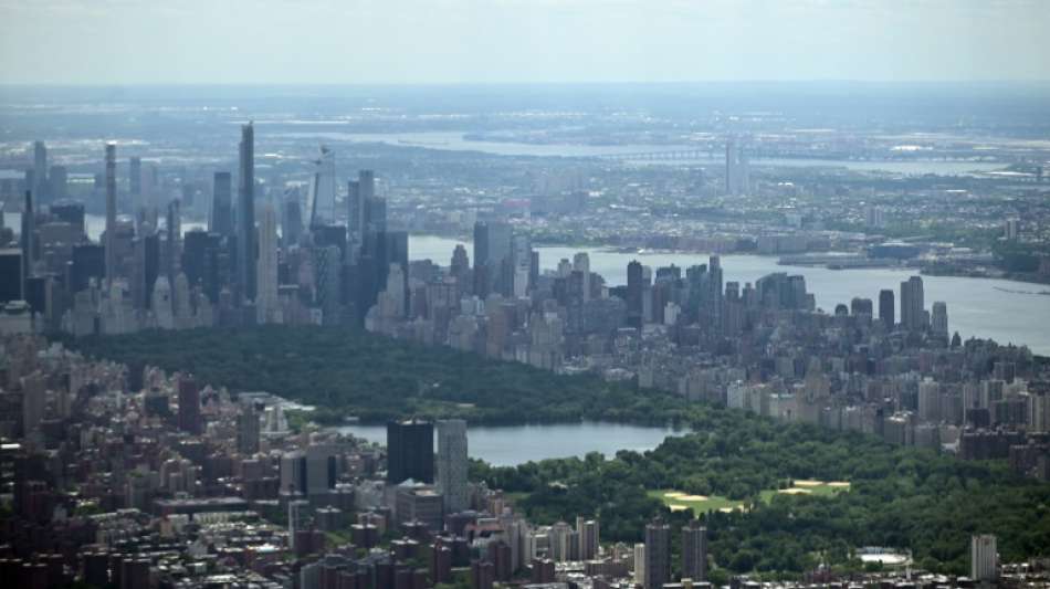 Strafverfahren gegen New Yorkerin nach falschem Notruf gegen Schwarzen eingestellt