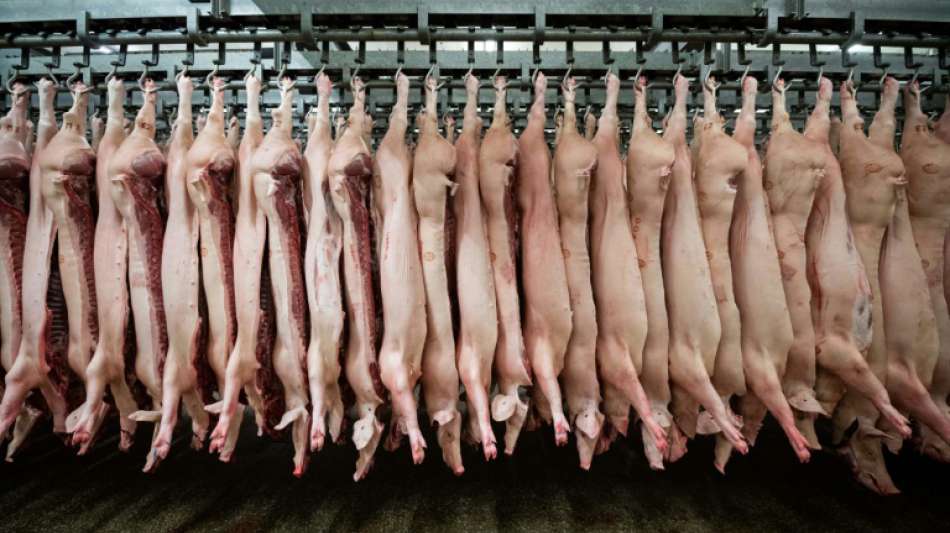 Export von Schweinefleisch nach China wegen Schweinepest deutlich gestiegen