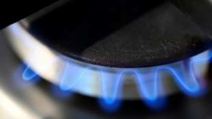 Leopoldina: Kurzfristiger Lieferstopp von russischem Gas "handhabbar"