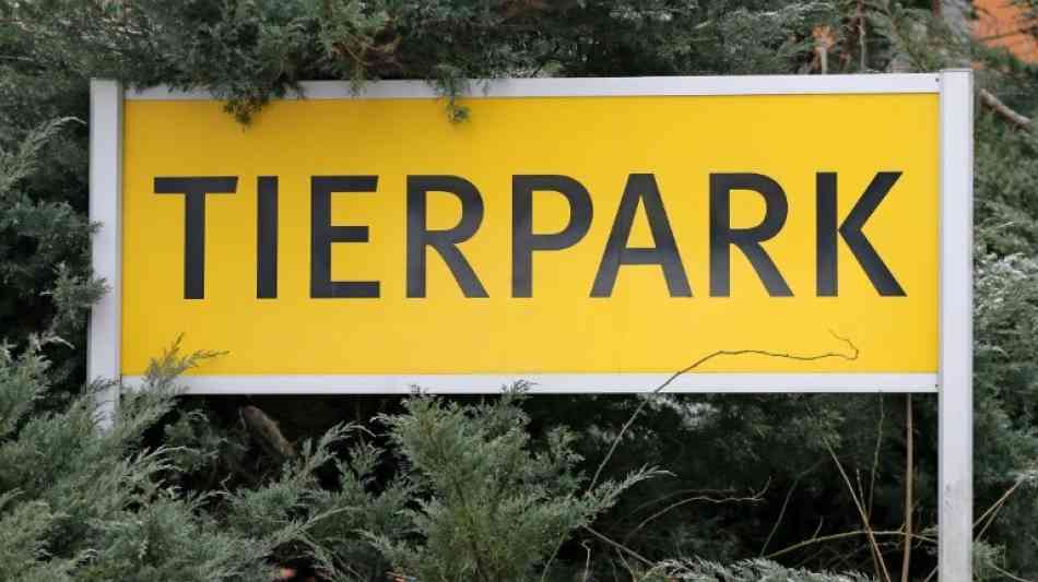 Polizei: Pfleger im Chemnitzer Tierpark von Leoparden angefallen