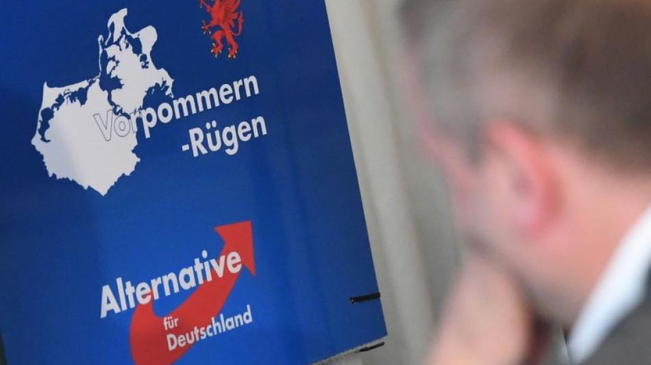 AfD geht mit 2 verschiedenen Kampagnen in Bundestagswahlkampf