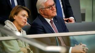 Steinmeier weist Kritik von AfD-Abgeordneten zurück