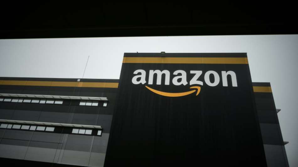 Hohe Ausgaben für schnellere Lieferung schmälern Amazons Gewinn