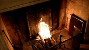 Dauerfrost steigert Nachfrage nach Brennholz - Vereinzelt Nachschubprobleme