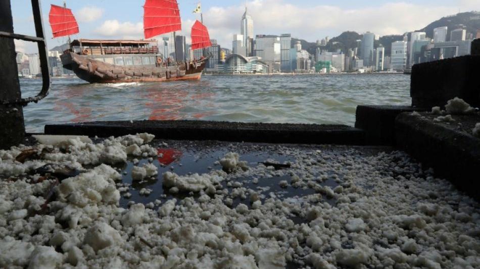 China: Palmölpest an Hongkongs Stränden nach Schiffsunglück