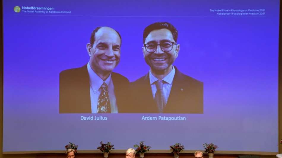 Medizin-Nobelpreis geht an US-Forscher David Julius und Ardem Patapoutian