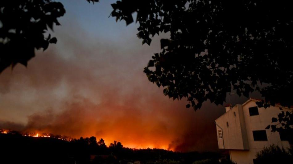 Weiterhin Waldbrände in Portugal - 4000 Feuerwehrleute kämpfen