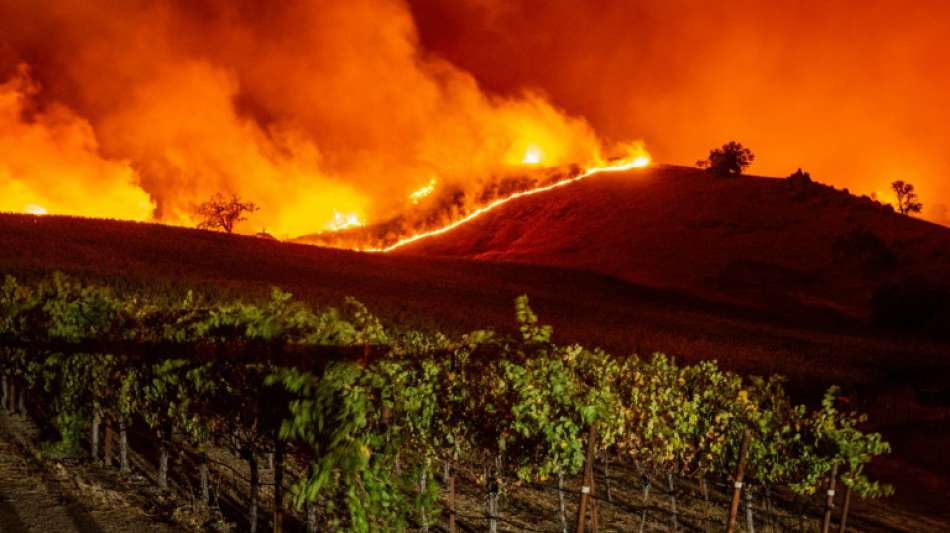 Waldbrand wütet in kalifornischem Weinbaugebiet