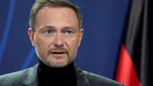Lindner wegen hoher Stromkosten f&uuml;r "schnellstm&ouml;gliche Absenkung" der EEG-Umlage