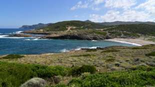 Heftige Waldbr&auml;nde auf Sardinien w&uuml;ten weiter
