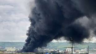 Busse und Bahnen nach Brand in französischem Chemiewerk gestoppt