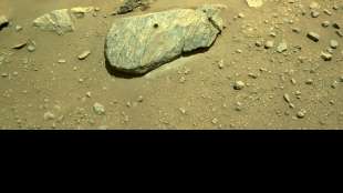 Nasa: Gesteinsproben vom Mars weisen auf Kontakt mit Wasser hin