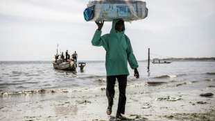 Senegal verwehrt dutzenden ausländischen Fabrikschiffen Genehmigung zum Fischen