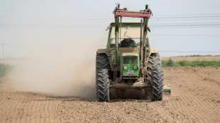 Bauernpräsident: Dürre hat im Osten schon einen Teil der Ernte vernichtet