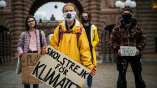 Deutsche Umweltaktivisten gratulieren Greta Thunberg zum 18. Geburtstag