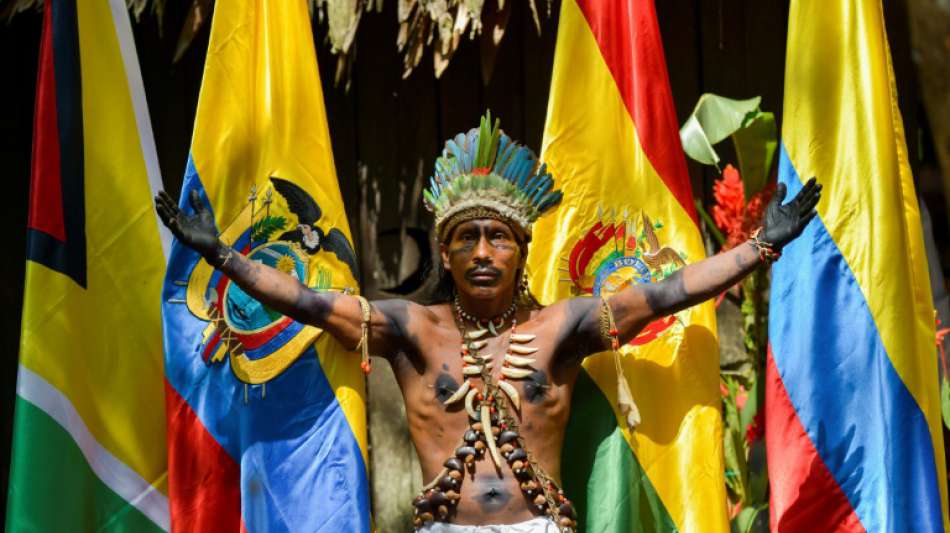Amazonas-Länder schließen Abkommen zum besseren Schutz des Regenwaldes