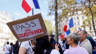Deutlich weniger Teilnehmer bei Protesten gegen Corona-Ma&szlig;nahmen in Frankreich