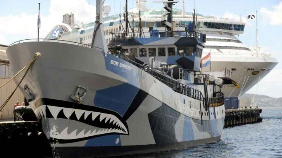 Umweltorganisation Sea Shepherd gibt Kampf gegen Walf